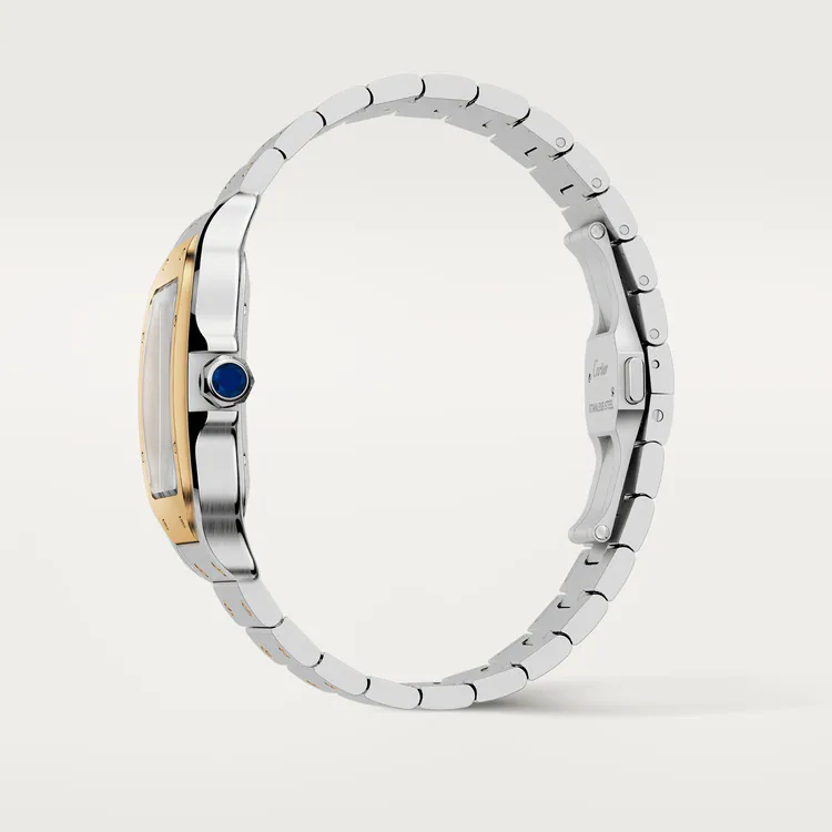 Cartier W2SA0006 SANTOS Gold Mix 39mm 
