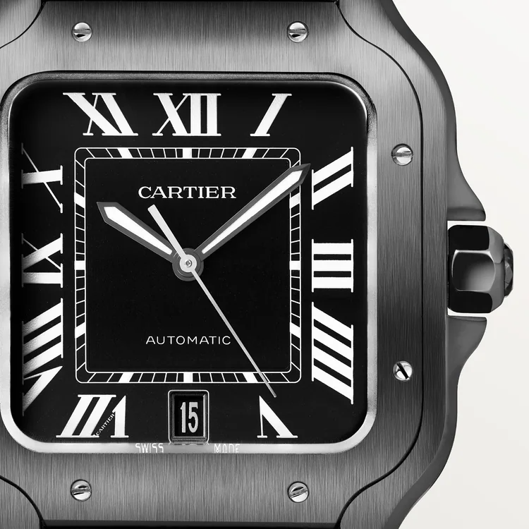 Cartier WSSA0039 Santos de Cartier watch 