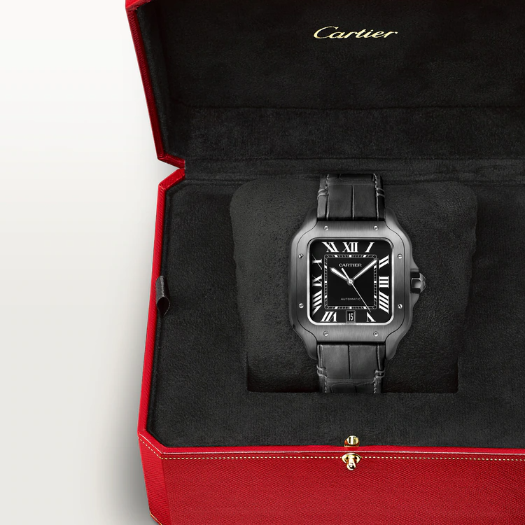 Cartier WSSA0039 Santos de Cartier watch 